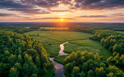 9 Podlasia: żubry, puszcze i dziedzictwo kulturowe