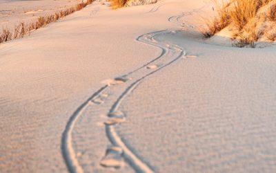 Najpiękniejsze plaże na Mierzei Wiślanej