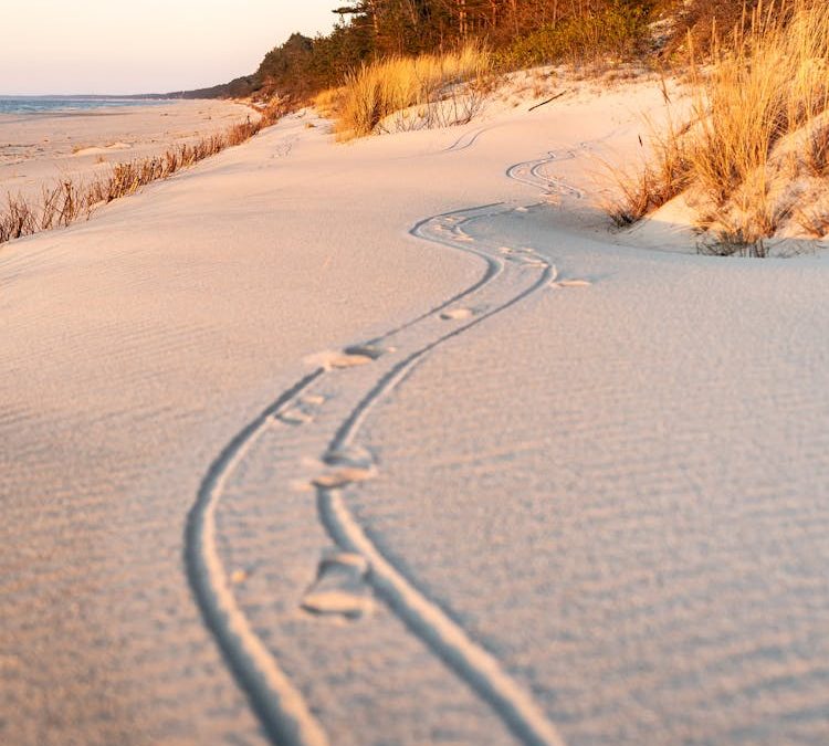Najpiękniejsze plaże na Mierzei Wiślanej