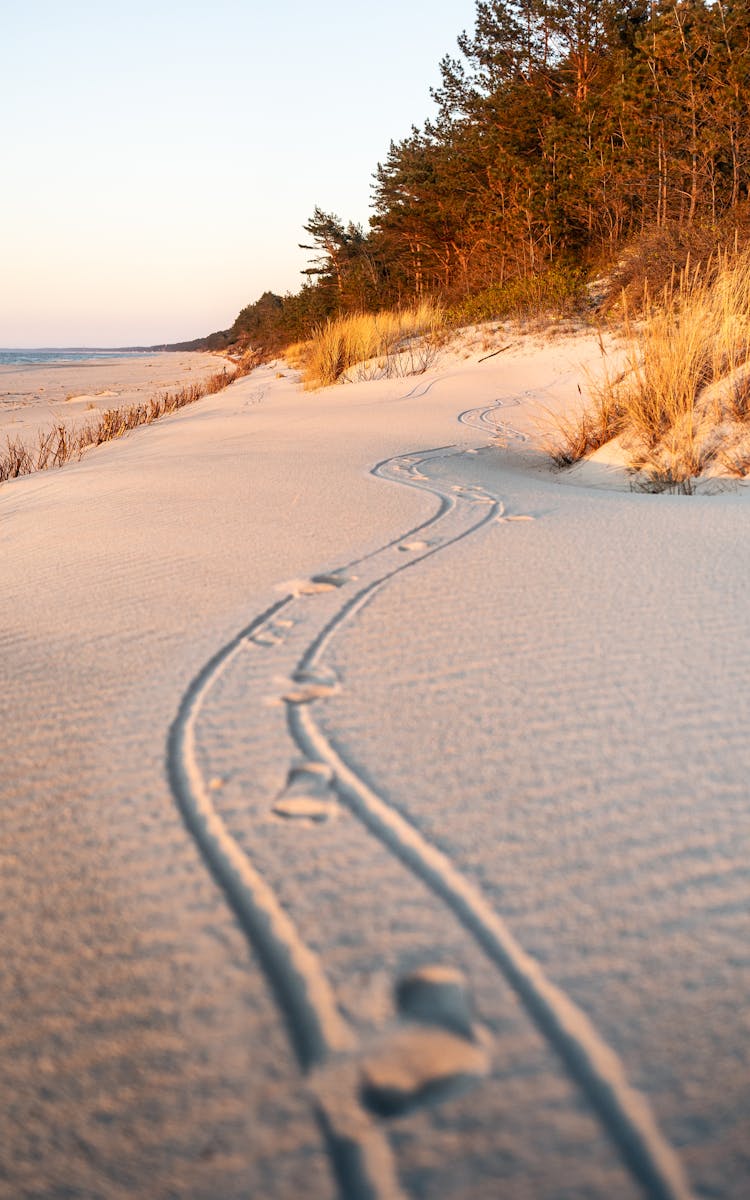 Beach in Poland with scenic sunset and tracks in the sand, perfect for travel and nature themes.