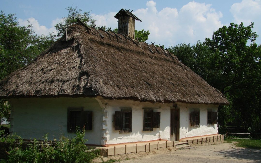 Bory Tucholskie: leśne wędrówki i cisza natury